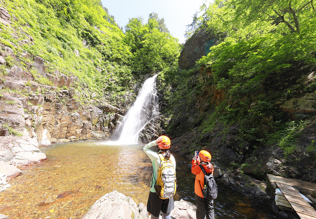 白神山地トレッキングの様子