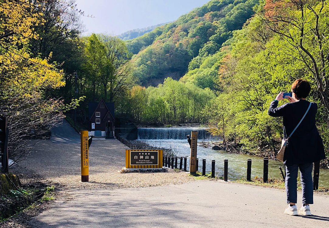 世界遺産の径 ブナ林散策道