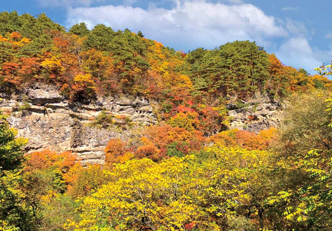 鷹ノ巣自然歩道
