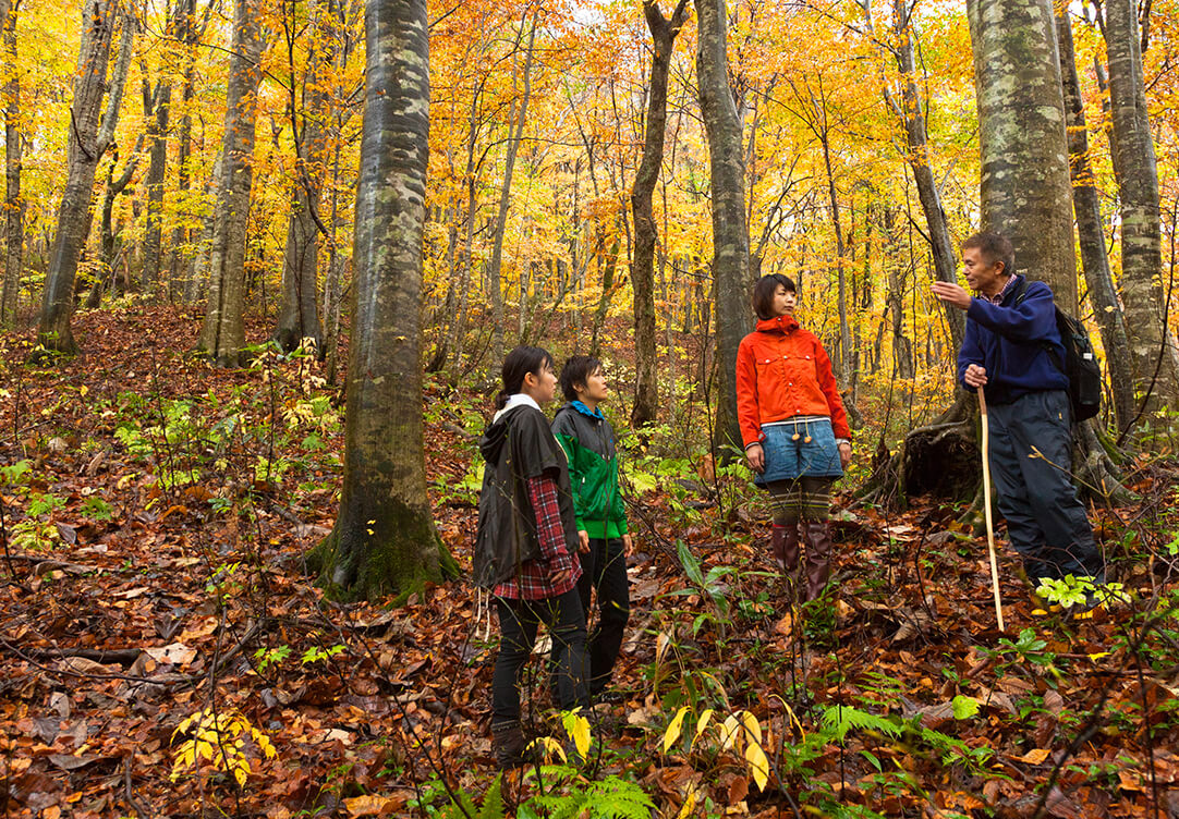 ブナ林散策道トレッキング